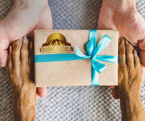 Kraina Radolin Sarna z dynią 400g 84% mięsa karma mokra dla alergików z nadwrażliwością pokarmową