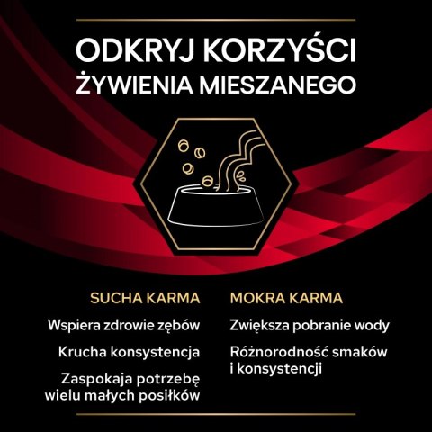 PURINA Pro Plan Veterinary Diets DM Diabetes Management Cat Kurczak 85g