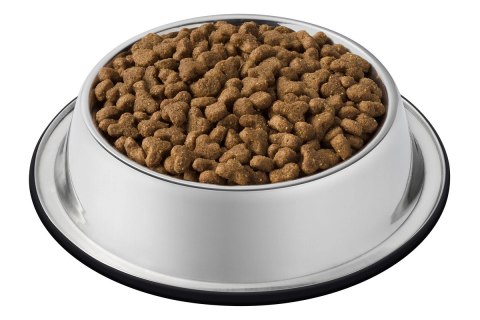 Purina Cat Chow Adult Duck 15kg