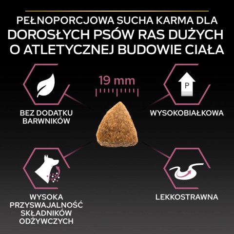 Purina Pro Plan Large Adult Athletic Optiderma Łosoś I Ryż 14kg