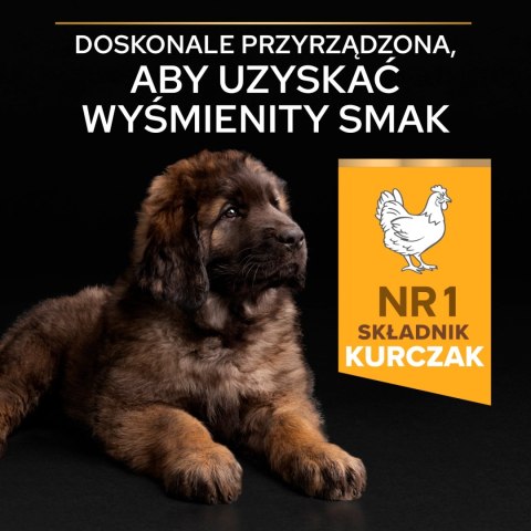 Purina Pro Plan Large Puppy Robust Optistart Kurczak I Ryż 12kg