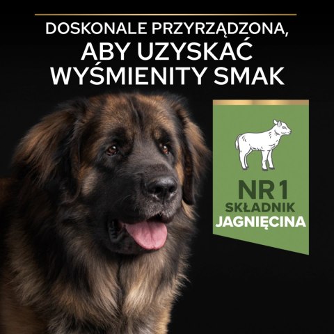 Purina Pro Plan Large Robust Optidigest Jagnięcina Z Ryżem 14kg