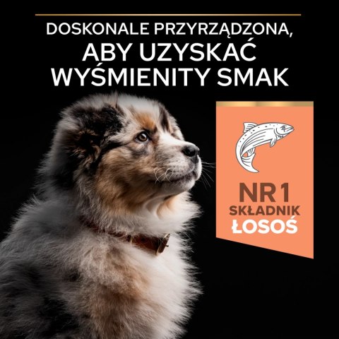 Purina Pro Plan Medium Puppy Sensitive Optiderma Łosoś I Ryż 12kg