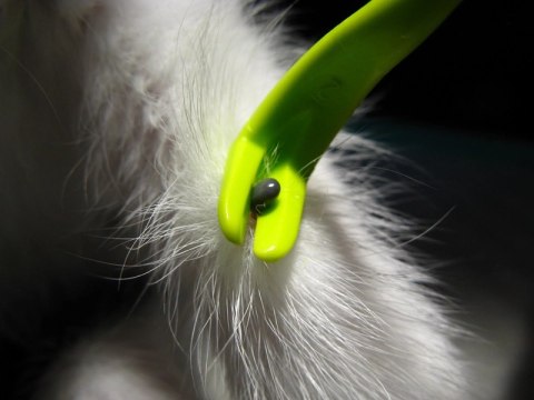 Entomojo SAS Kleszczołapki Tick Twister 2szt