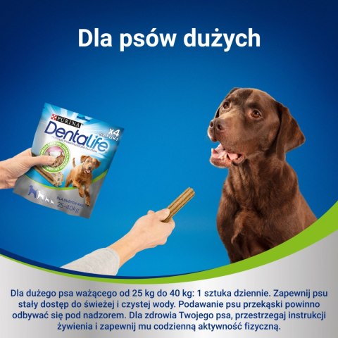 PURINA Dentalife Large 142g