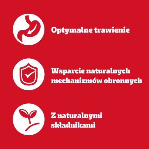 Pedigree Mokra Karma Dla Dorosłych Psów W Galaretce Mix Smaków (Z Wołowiną, Z Kurczakiem, Z Jagnięciną, Z Drobiem) 40x100g