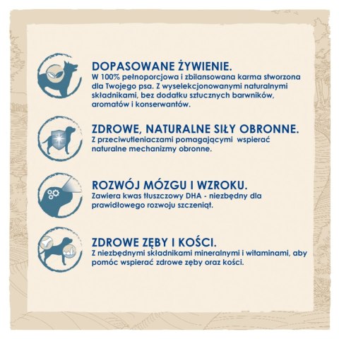 Purina Dog Chow Large Breed Puppy Z Indykiem 14kg