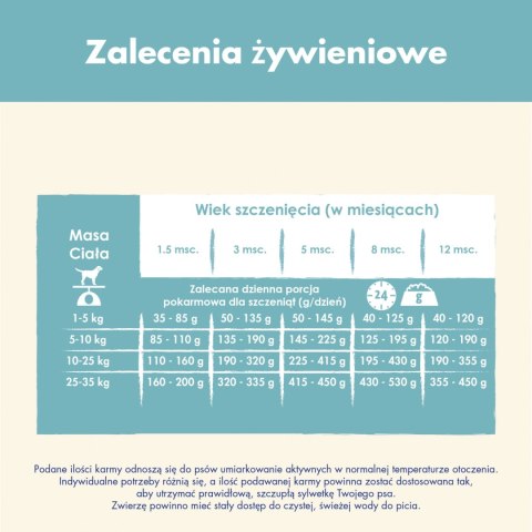 Purina Dog Chow Puppy Z Jagnięciną 14kg