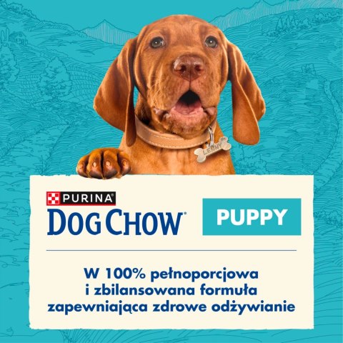 Purina Dog Chow Puppy Z Kurczakiem 14kg