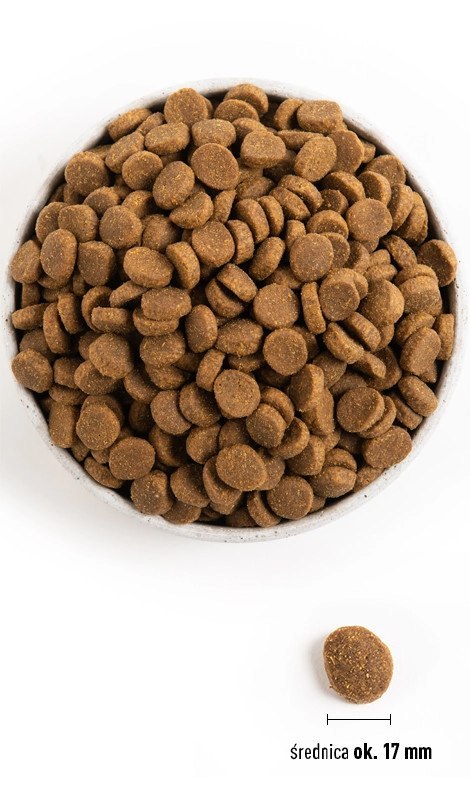 Acana Heritage Adult Large Breed 17kg