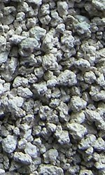 CERTECH-SUPER BENEK Standard Line Zielony Las 25l