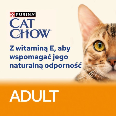 Purina Cat Chow Adult Wołowina Z Bakłażanem 85g