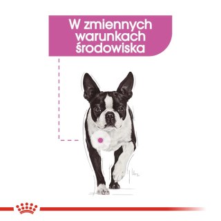 ROYAL CANIN CCN Mini Relax Care 3kg