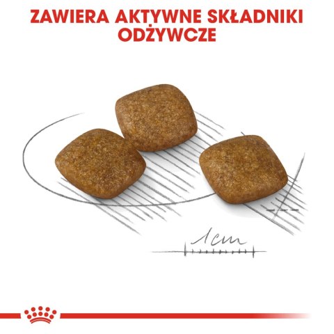 ROYAL CANIN CCN Mini Relax Care 3kg