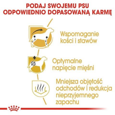 ROYAL CANIN Dachshund 500g