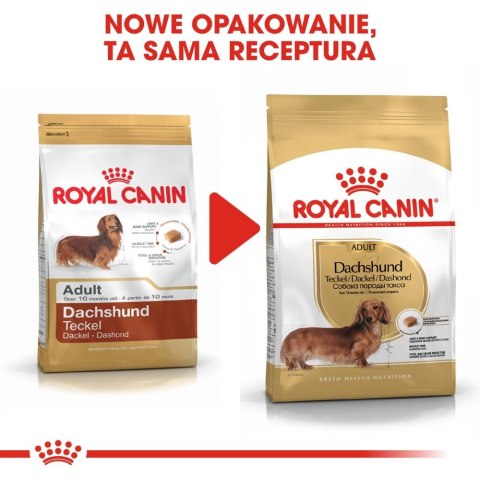 ROYAL CANIN Dachshund 500g