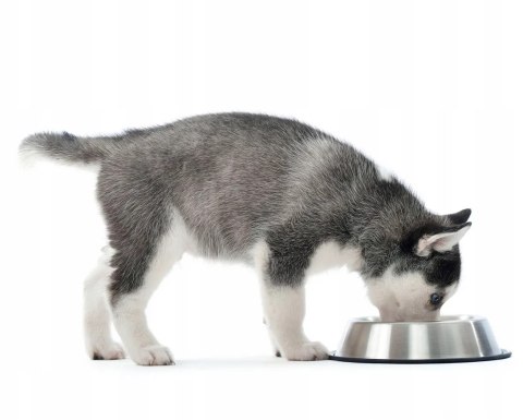 Miska dla psa metalowa antypoślizgowa 22cm 500ml