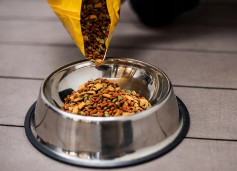 Miska dla psa metalowa antypoślizgowa 22cm 500ml