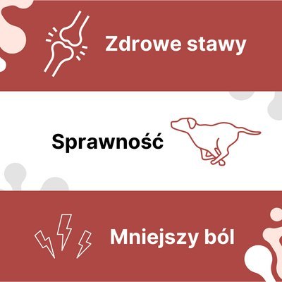 Arthrohard® Preparat Wspomagający Prawidłowy Rozwój I Funkcjonowanie Stawów U Psów I Kotów - Kolagen, Glukozamina, Chondroityna,