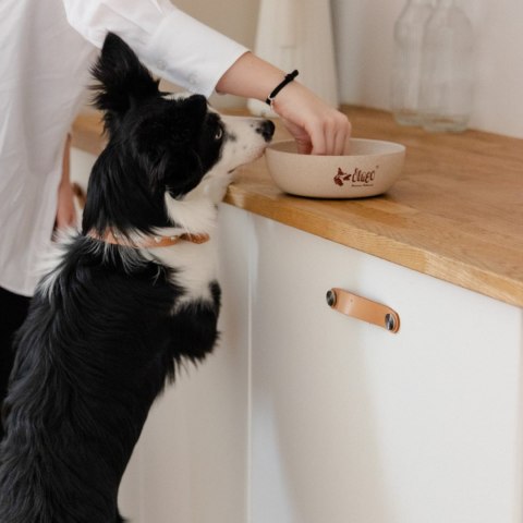 DINGO Miska Z Włókna Bambusowego Antypoślizgowa 450 Ml