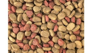 DINO Sucha Karma z Wołowiną dla Psów 20kg + 10% GRATIS