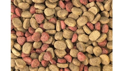 DINO Sucha Karma z Wołowiną dla Psów 20kg + 10% GRATIS