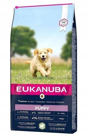 Eukanuba Puppy Large L-XL Jagnięcina 2,5kg
