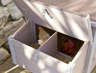 KERBL Coop Domek dla Kur 146 x 74 x 85 cm