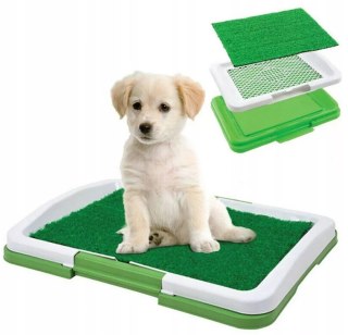 Nuxie® Kuweta z Trawą dla Szczeniąt do Nauki Czystości 34cm x 47cm x 6cm