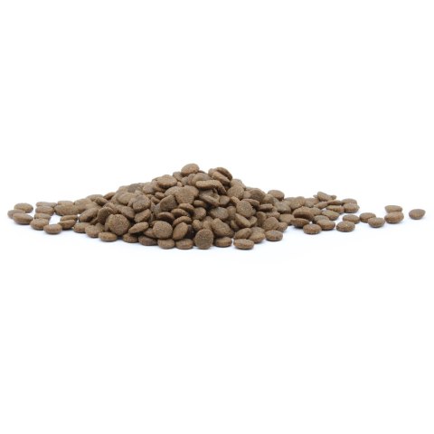 Rex Natural Range Puppy Large Breed Chicken & Rice 14kg