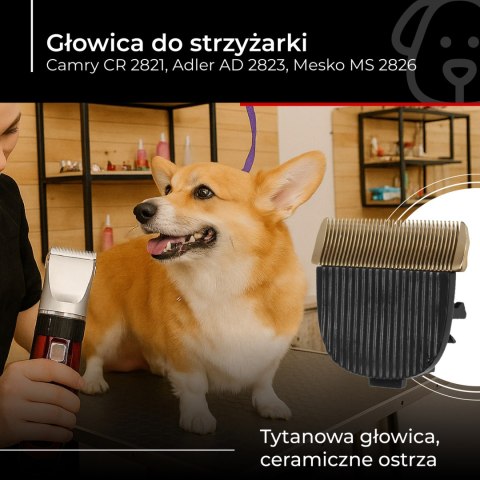 Camry Głowica CR 2821.1