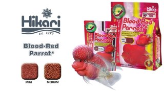 HIKARI Cichlid Blood-Red Parrot Plus Medium 333g
