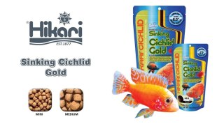 HIKARI Cichlid Gold (Sinking) Medium 100g