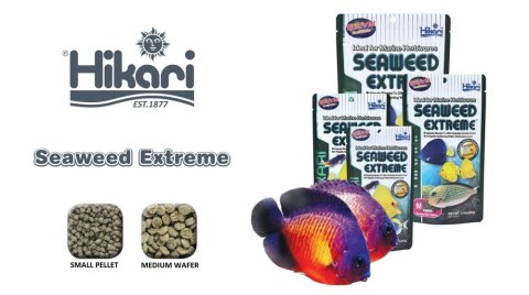 HIKARI Marine Seaweed Extreme Small Pellet 100g
