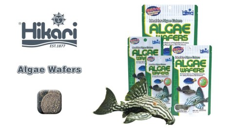 HIKARI Tropoical Algae Wafers 250g