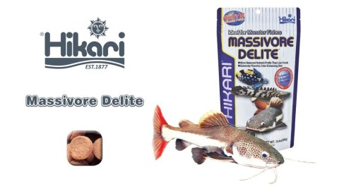 HIKARI Tropoical Massivore Delite 1kg