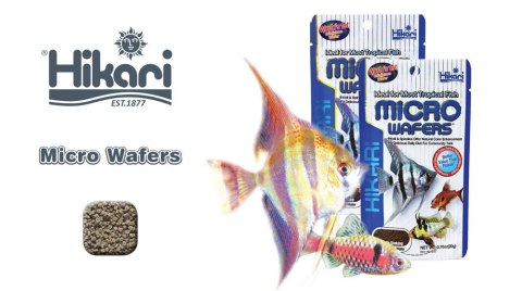 HIKARI Tropoical Micro Wafers 45g