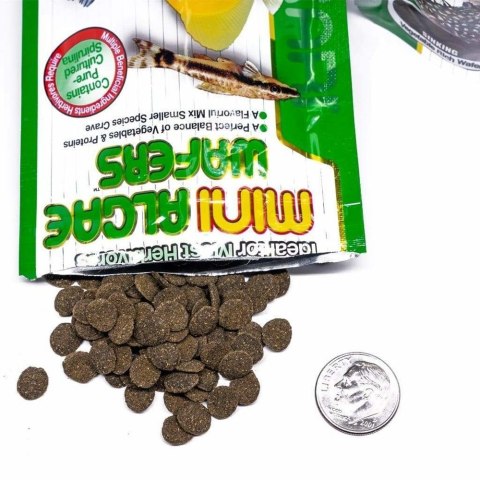 HIKARI Tropoical Mini Algae Wafers 22g
