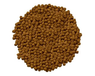 HILL'S Science Plan Feline Adult Tuńczyk - 2 kg