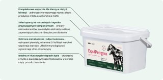 Lab-v EquiPregna Mieszanka paszowa uzupełniająca dla klaczy ciężarnych i karmiących, wspierająca przebieg ciąży, rozwój płodu or