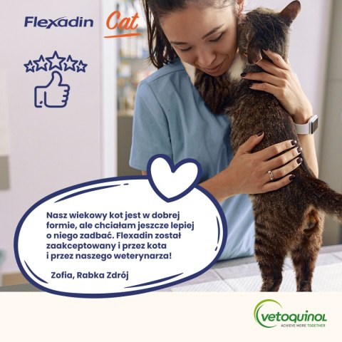 VETOQUINOL Flexadin Cat 60 kąsków