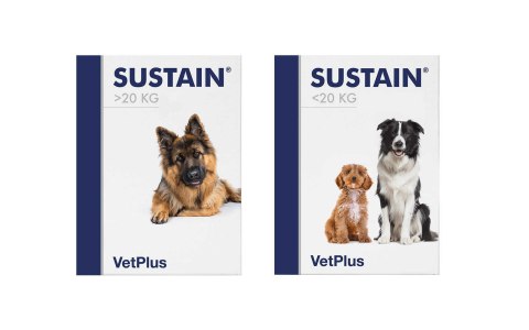 VetPlus SUSTAIN L układ odpornościowy 30 saszetek