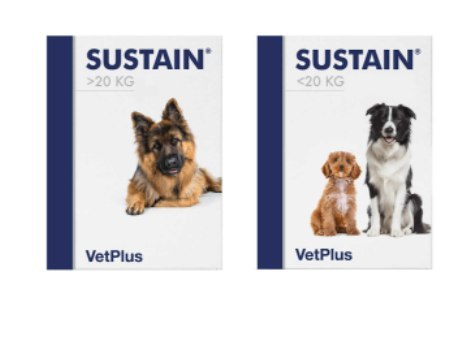 VetPlus SUSTAIN S/M układ odpornościowy 30 saszetek