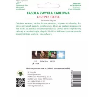 Asola karłowa zielonostrąkowa 'Cropper Teepee' - śr. wczesna