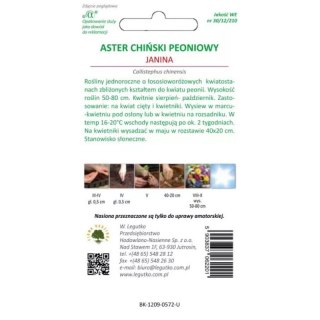 Aster chiński peoniowy Janina - łososiowy