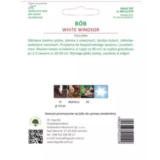 Bób 'Windsor Biały' - odmiana średnio późna, ogrodowa