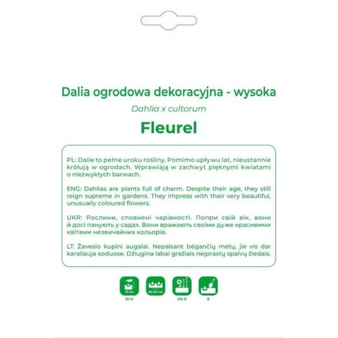 Dalia Fleurel biała 1szt.