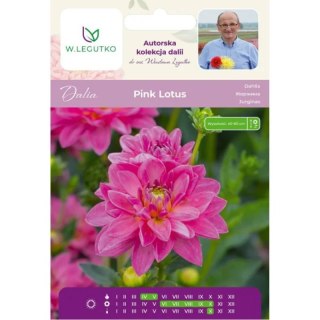 Dalia Pink Lotus różowa - cebulka, 1 szt.