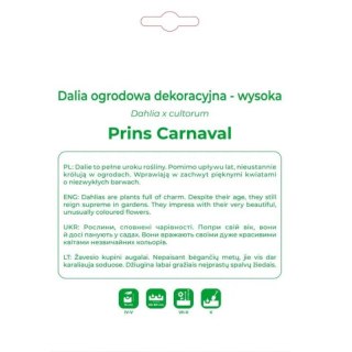 Dalia Prins Carnaval czerwono-różowa 1szt.