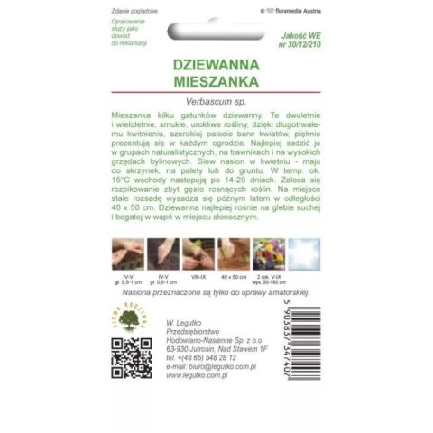Dziewanna - mieszanka gatunków wieloletnich